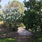 别墅 La Tramontane, Propriete Avec Piscine, Proche 圣马克西姆
