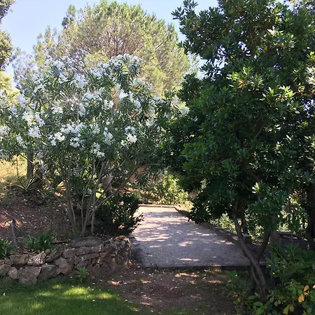 빌라 La Tramontane, Propriete Avec Piscine, Proche 생트막시메