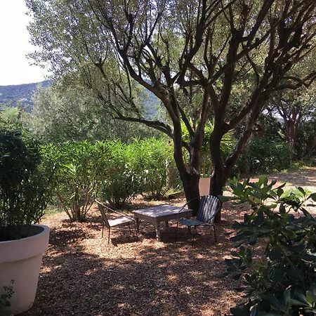 La Tramontane, Propriete Avec Piscine, Proche * 생트막시메